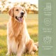 Golden Retriever sitzt auf einem sonnenbeschienenen Feld mit deutschem Text über Vitalität, natürliche Inhaltsstoffe und Qualität.