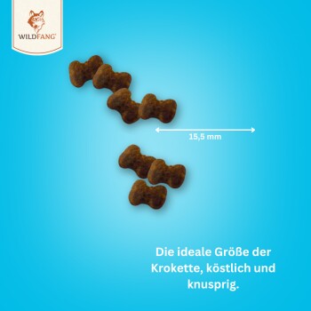 Braune Hundekibble-Stücke in Knochenform, 15,5 mm groß, auf einem blauen Hintergrund mit Text über ihre ideale Größe und ihren Geschmack.