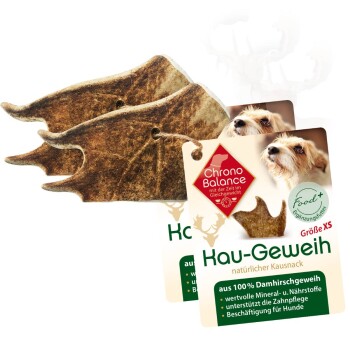 natürliches Damhirsch Kaugeweih 2xXS, 2x