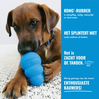 Bruine pup kauwt op een blauw KONG-speeltje; blauw zijpaneel met de tekst "KONG‑RUBBER" en "Het splintert niet"