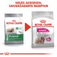 Zwei Royal Canin Hundefutterbeutel mit der Aufschrift "MINI Exigent" in Grün und Pink, beide mit dem Hinweis "Befriedigt einen wählerischen Appetit."