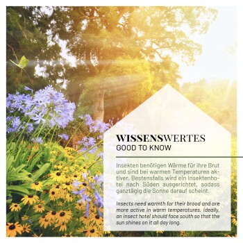 Eine sonnige Gartenszene mit bunten Blumen, mit einem Textfeld mit dem Titel 'WISSENSWERTES GOOD TO KNOW' über Insektenhotels, die Wärme benötigen.