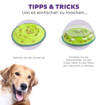 Das Gesicht eines Golden Retrievers wird neben zwei interaktiven Hundenäpfen gezeigt, einer mit Deckel und einer ohne, mit Tipps auf Deutsch zur Verwendung.