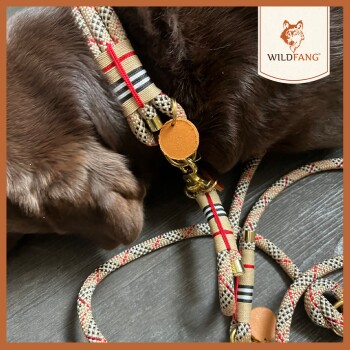 Eine Nahaufnahme des Halsbands und der Leine eines braunen Hundes, mit einem stilvollen gewebten Design in Rot und Schwarz, markiert mit "WILDFANG."