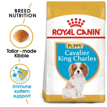 Royal Canin Puppy food for Cavalier King Charles, featuring a puppy image, tailored kibble, and claims for breed nutrition and immune system support.