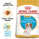 Cavalier King Charles Puppy 1.5 kg