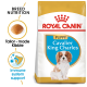Royal Canin Puppy food for Cavalier King Charles, featuring a puppy image, tailored kibble, and claims for breed nutrition and immune system support.