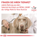 Anzeige mit deutschem Text 'FRAGEN SIE IHREN TIERARZT', Royal Canin Veterinary Nutrition-Logo, Tierarzt hört Hund mit Stethoskop ab