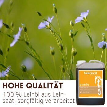 Supravit-Leinölkanister mit orangefarbenem Pferdeetikett neben blauen Flachblüten; sichtbarer Text 'HOHE QUALITÄT' und '100 % Leinöl'