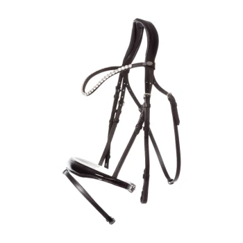 Ein stilvolles schwarzes Haustiergeschirr mit einem mit Kristallen verzierten Riemen, entworfen für Komfort und Eleganz.