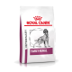 Royal Canin Early Renal Tierarzt-Hundefuttertüte mit einem schwarz-weißen Bild eines Hundes, mit fettem Text, der den Produktnamen angibt.