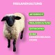 Ein Schaf steht vor einem rosa Hintergrund, mit Text, der seine Freiland-, getreidefreien und konservierungsmittelfreien Eigenschaften hervorhebt.