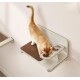 Eine hellorangefarbene Katze frisst aus einer doppelten Futterschüssel an einer wandmontierten Futterstation mit einer braunen Matte darunter.