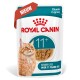 Royal Canin kattenvoerzakje voor senior katten ouder dan 11 jaar, stukjes in saus, met afbeelding van een oranje tabby kat.