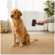 Golden Retriever sitting on woven rug indoors while hand holds a black slicker brush for grooming.