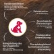Infografik zu Gelenk- und Sehnenproblemen bei Hunden mit deutschem Text, der Bandinstabilität, Sehnenriss, neurologische Erkrankungen und postoperative Unterstützung beschreibt.