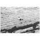 Schwarzes Haustierbett mit einer gesteppten Textur, das das weiße Logo von "KNUFFELWUFF" und eine Silhouette eines Hundes zeigt.