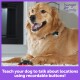 Un golden retriever est assis sur un tapis clair avec un bouton enregistreur noir, promouvant l'apprentissage des chiens à parler des lieux.