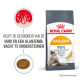 Royal Canin Hair & Skin kattenvoer zak met een kat, met tekst die aangeeft dat het de huidgezondheid en glanzende vacht ondersteunt, en 90% eigenaarstevredenheid.