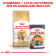 Royal Canin verpakking toont Bengal volwassen droog kattenvoer en Intense Beauty natvoer, ter promotie van combinatievoeding.