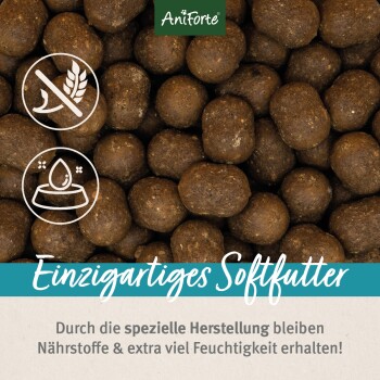 AniForte einzigartiges Nassfutter für Haustiere, mit runden, braunen Kroketten. Der Text hebt die Feuchtigkeitsbindung und den speziellen Herstellungsprozess hervor.