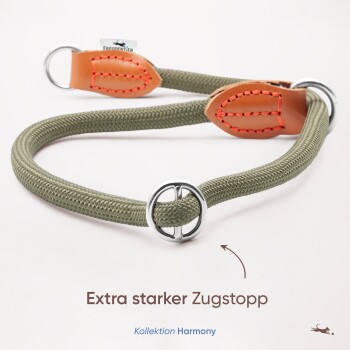 Eine grüne Hundeleine mit Lederakzenten und einem Metallring, mit dem Text 'Extra starker Zugstopp' und 'Kollektion Harmony.'