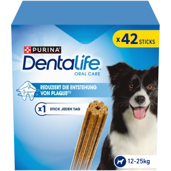 Purina Dentalife Zahnpflege-Hundeleckerlis Box mit 42 Sticks, Plaque-Reduktion, für Hunde von 12-25 kg, und ein glücklicher schwarz-weißer Hund.