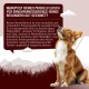 Braun-weißer Hund sitzt und schaut nach oben neben einer weinroten Textbox mit deutschem Text über reines Muskelfleisch für empfindliche Hunde.