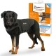 Un chien noir et marron portant un ThunderShirt, conçu pour réduire le stress chez les animaux de compagnie, avec une boîte de produit présentant des affirmations apaisantes et des instructions d'utilisation.