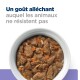 Bol de nourriture pour animaux de compagnie avec des morceaux de viande et de légumes, avec un texte indiquant 'Un goût alléchant auquel les animaux ne résistent pas.'