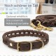 Geflochtenes braunes Leder-Hundeleinen- und Halsband-Set mit goldenen Beschlägen, mit dem Text: "Optional erhältlich: Das passende Halsband zur Leine."