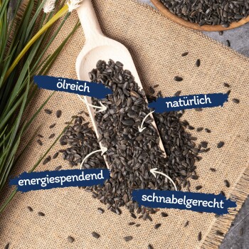 Ein Holzlöffel mit schwarzen Sonnenblumenkernen auf Jute, beschriftet mit "ölreich", "natürlich", "energiespendend" und "schnabelgerecht."
