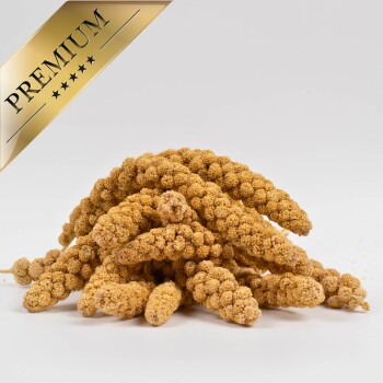 Ein Haufen hochwertiger Hirse-Sprays, mit goldgelben Büscheln, vor einem weißen Hintergrund mit einem goldenen "PREMIUM"-Label in der Ecke.