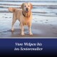Ein Golden Retriever steht am Strand, nass vom Wasser, mit dem Text "Vom Welpen bis ins Seniorenalter" darunter.