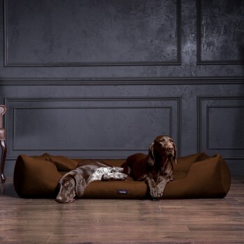 Zwei Hunde, einer braun und einer grau, ruhen auf einem großen braunen Haustierbett in einem stilvollen Raum mit dunklen Wänden und Holzboden.