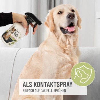 Eine Person sprüht einen Golden Retriever mit einer Flasche mit der Aufschrift "Flohspray" in einem hellen Wohnzimmer, mit Text auf Deutsch.