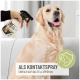 Eine Person sprüht einen Golden Retriever mit einer Flasche mit der Aufschrift "Flohspray" in einem hellen Wohnzimmer, mit Text auf Deutsch.