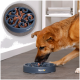 Ein brauner Hund frisst aus einer blauen langsamen Futter-Schüssel mit einem Wirbel-Design, beschriftet mit "lionto", gefüllt mit Nassfutter für Hunde.