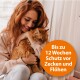 Eine Person hält eine flauschige orangefarbene Katze, während sie drinnen sitzt. Ein orangefarbener Kreis rechts besagt: 'Bis zu 12 Wochen Schutz vor Zecken und Flöhen.'