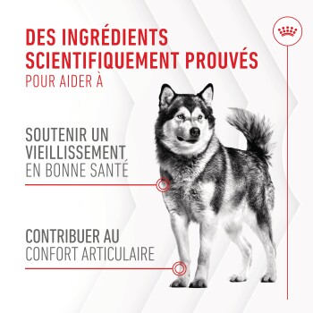 Image d'un chien avec un texte mettant en avant des ingrédients scientifiquement prouvés pour soutenir un vieillissement sain et le confort des articulations.