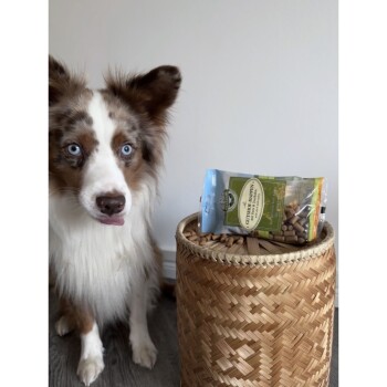 Eine Tüte mit Hundeleckerlis mit grünem Etikett liegt auf einem geflochtenen Korb, neben einer Hundepfote.