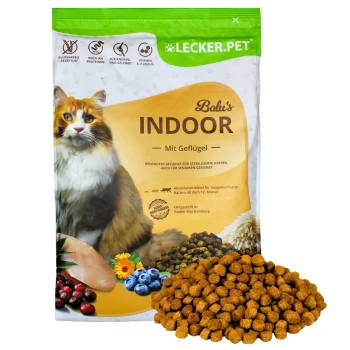 Eine Tüte Katzenfutter mit der Aufschrift "Balu's INDOOR mit Geflügel", mit einer flauschigen Katze auf der Vorderseite, mit verstreutem Futter davor.