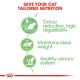 Infographic on tailored cat nutrition, showcasing benefits like odor reduction, high digestibility, ideal weight, and urinary health support.