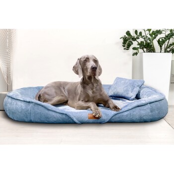 Ein grauer Weimaraner-Hund, der auf einem weichen blauen Haustierbett mit einem passenden Kissen entspannt, vor einer hellen Wand und Grünpflanzen.