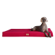 Ein schlanker grauer Hund, der auf einem lebhaft roten Hundebett mit einem kleinen Holzschild entspannt, das Komfort und Stil zeigt.