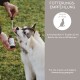 Flasche mit biologischem Schwarzkümmelöl, beschriftet mit 'BIO SCHWARZKÜMMELÖL,' das seine 100% natürlichen, veganen und kaltgepressten Eigenschaften hervorhebt.