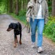 Person in beigefarbener Jacke und Jeans führt einen Dobermann an einer grünen Leine entlang eines kiesigen Waldwegs mit gelben Blumen.