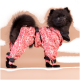 Schwarzer Pommerscher Hund trägt einen rosa Tarnregenmantel mit schwarzen Riemen vor beigem Hintergrund.
