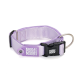 Hellviolettes Nylon-Hundehalsband mit schwarzer Kunststoffschnalle, Metall-D-Ring und Markenetikett "Max & Molly".