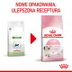 Nagłówek 'NOWE OPAKOWANIA, ULEPSZONA RECEPTURA'; po lewej torba 'Pediatric Growth' → po prawej różowa torba 'ROYAL CANIN KITTEN Up to 12 months'